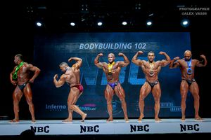 BODYBUILDING 102